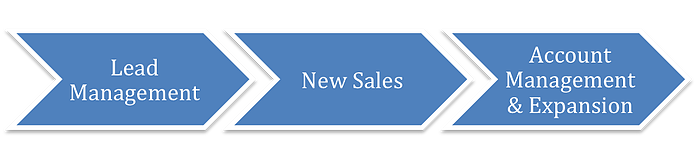rethinking_b2b_sales_force2