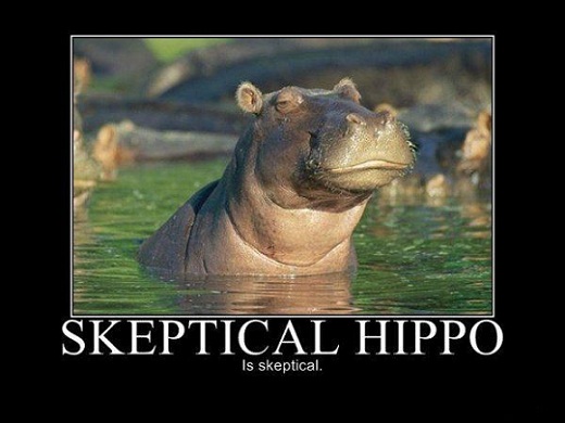 get-your-hippo-to-listen-to-your-B2B-marketing-ideas