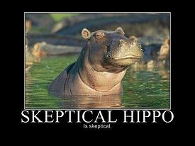 get-your-hippo-to-listen-to-your-B2B-marketing-ideas