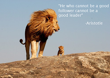 leadership_lion