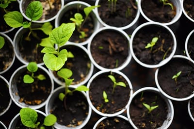 Lead-nurturing-mistakes.jpg
