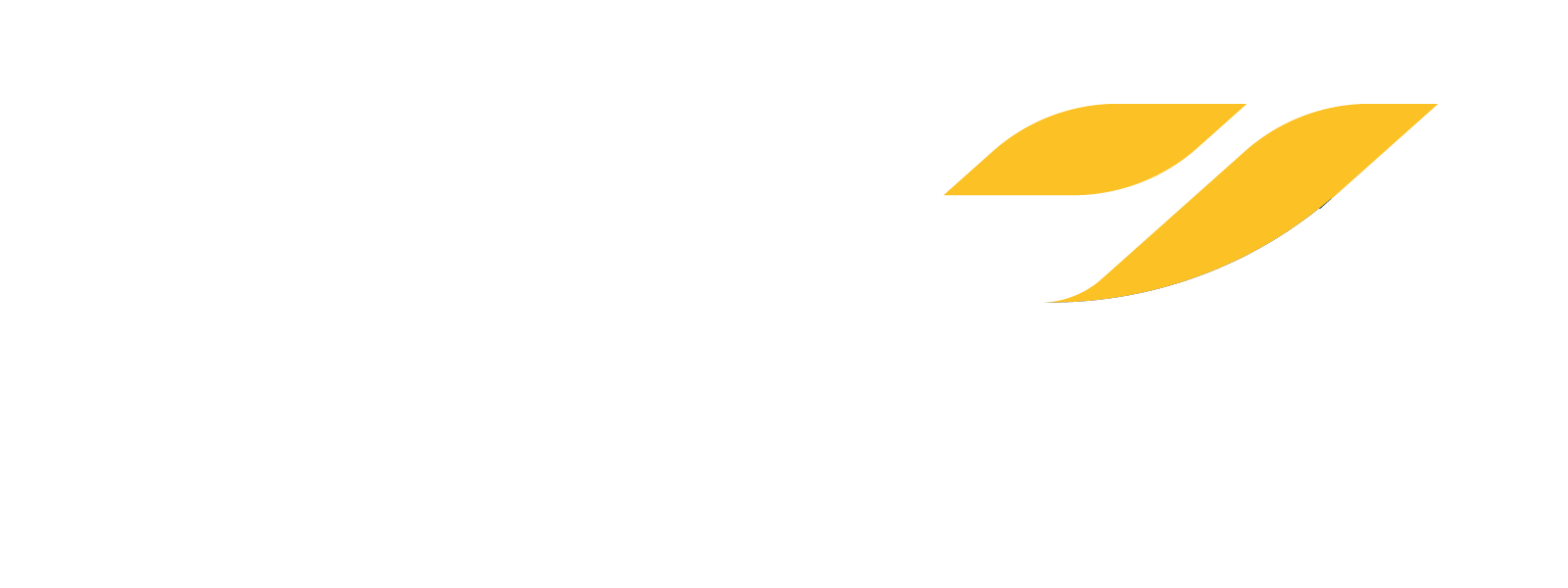 LiftEnablement - Logo - Reverse