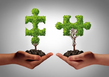Using-Lead-Nurturing-to-Align-sales-development-and-inbound-marketing.jpg
