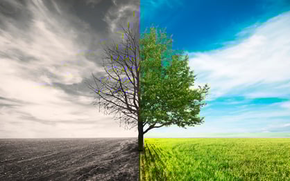 iStock_82441813_LARGE.jpg